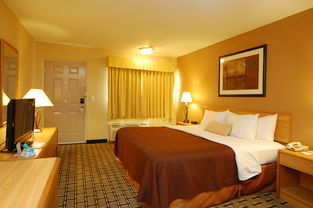 Texan Hospitality at its Finest: Our Stay at the Best Western Plus Nuvex Hotel in Dalhart, Texas